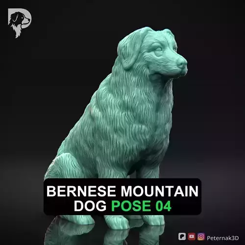 Dog 3D Print Model Bernese Mountain Dog Pose 04 Ready STL