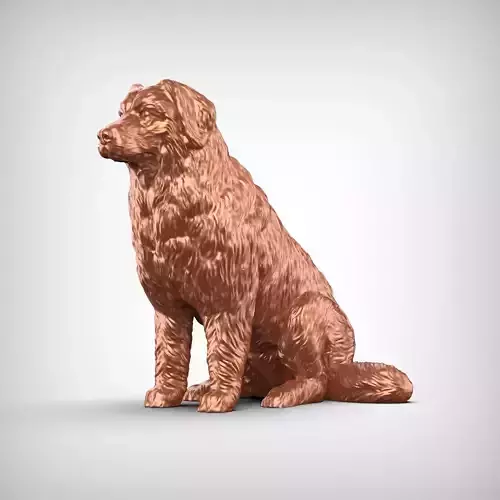 Bernese Mountain Dog 3D Print Model Pose 04 3D print model