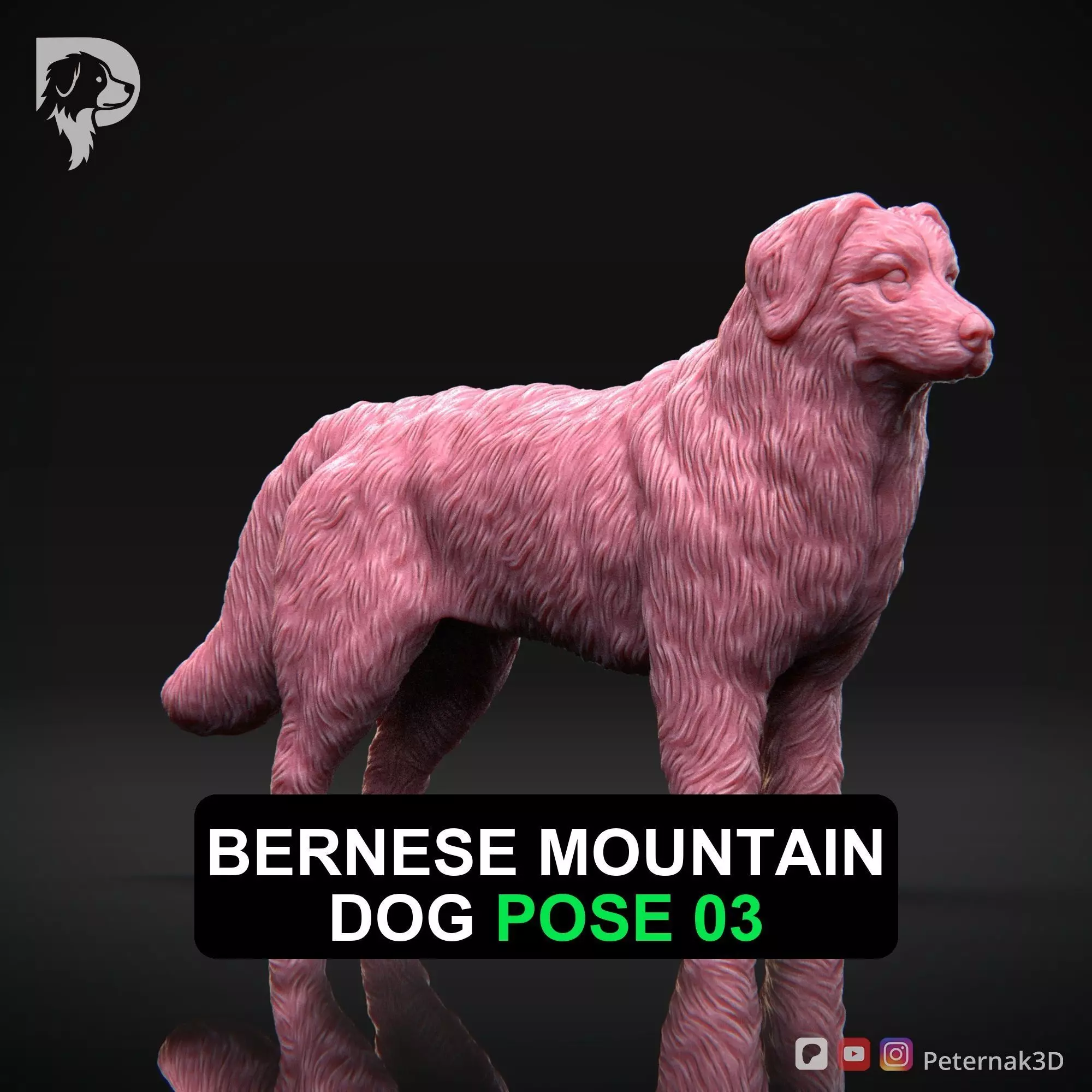 Dog 3D Print Model Bernese Mountain Dog Pose 03 Ready STL 3D print model