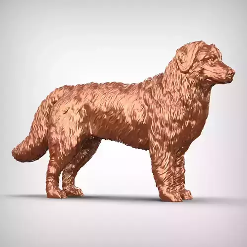Bernese Mountain Dog 3D Print Model Pose 03 3D print model