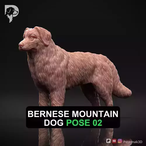 Dog 3D Print Model Bernese Mountain Dog Pose 02 Ready STL