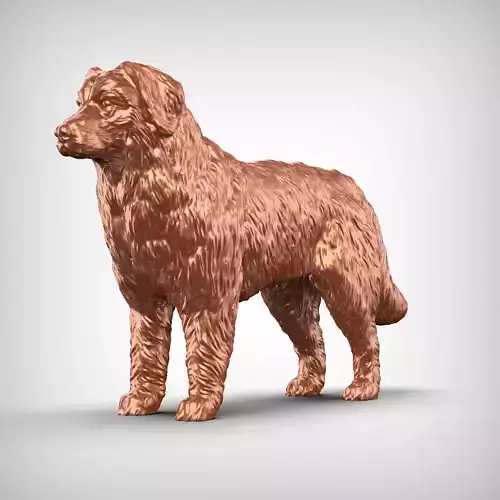 Bernese Mountain Dog 3D Print Model Pose 01 3D print model