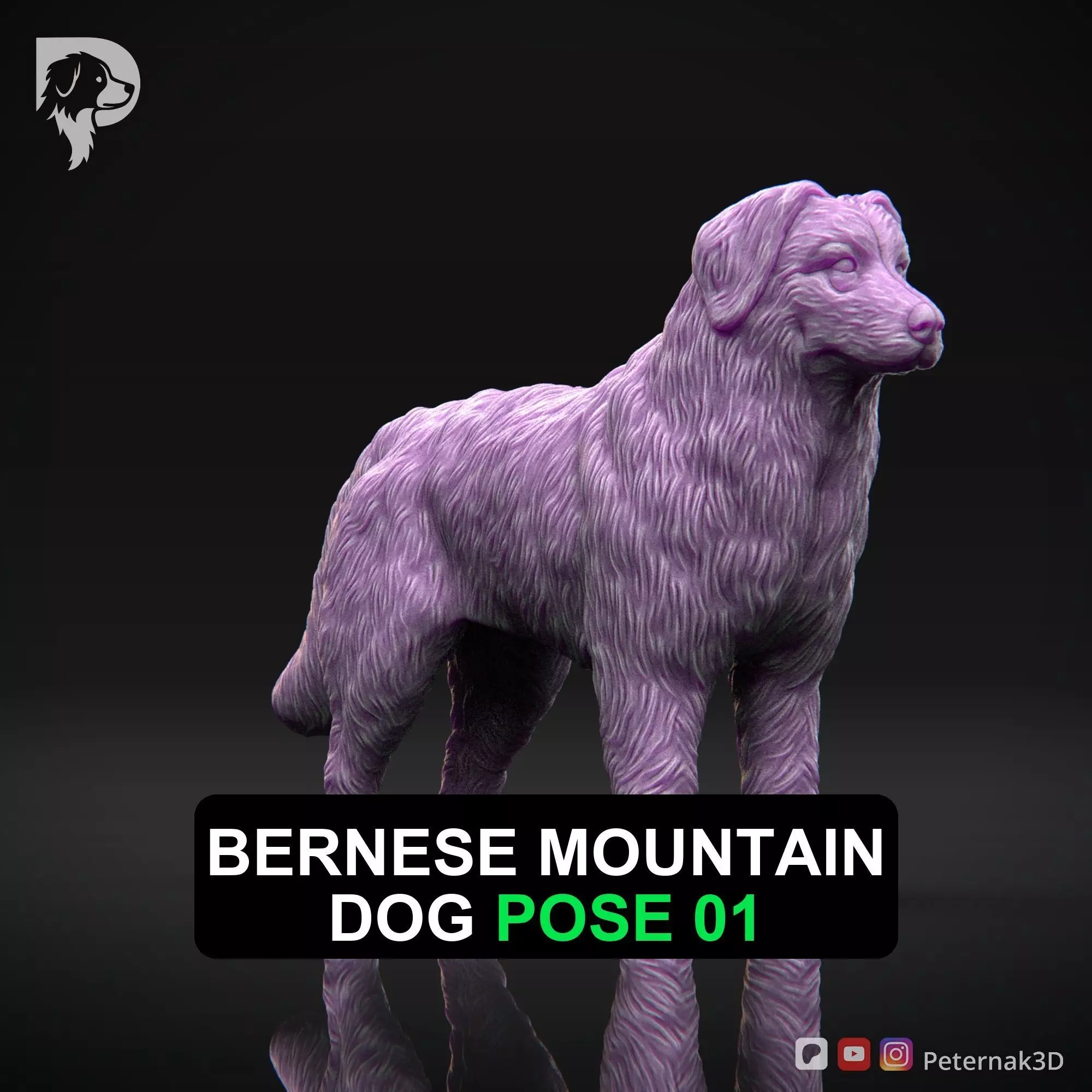 Dog 3D Print Model Bernese Mountain Dog Pose 01 Ready STL 3D print model_0