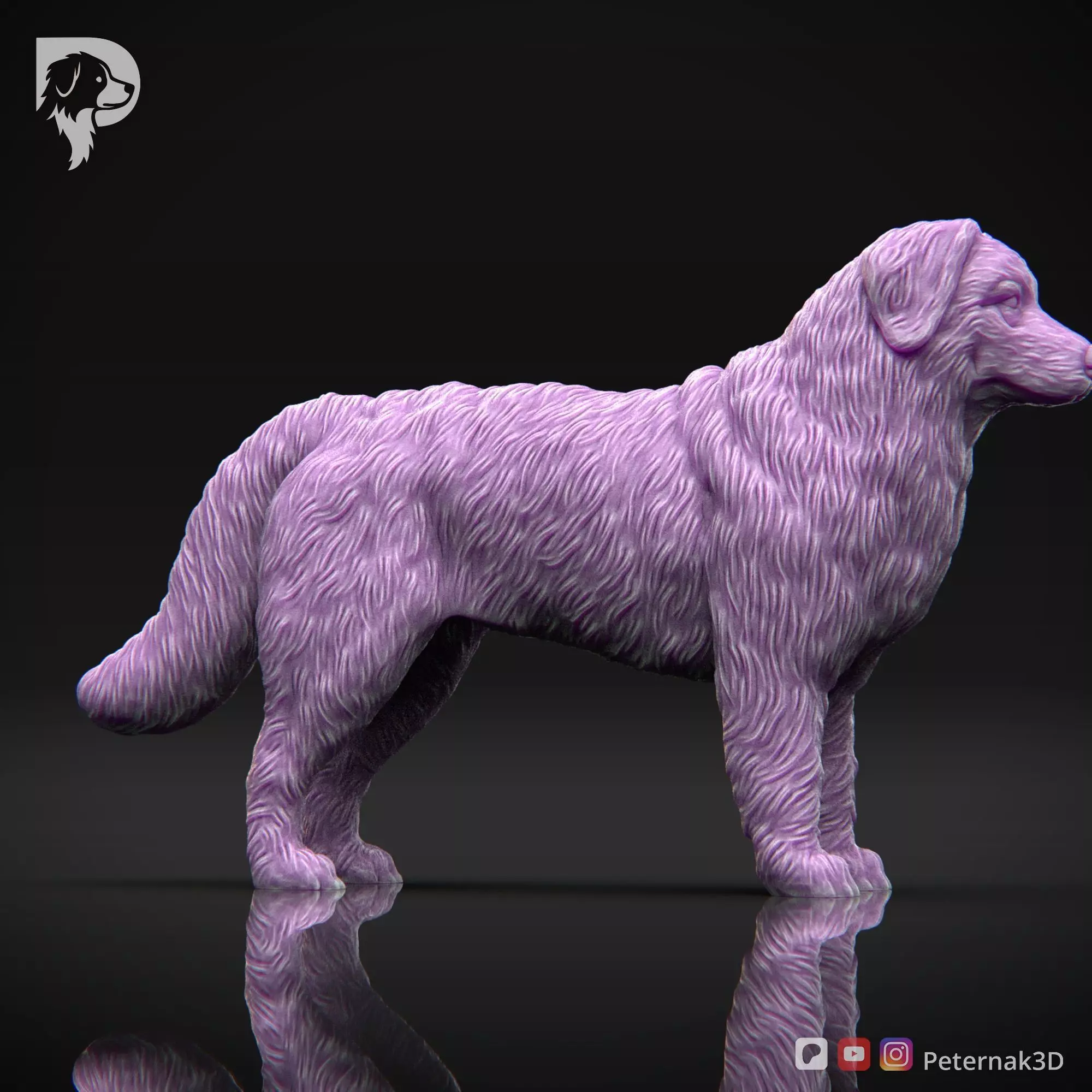 Dog 3D Print Model Bernese Mountain Dog Pose 01 Ready STL 3D print model_4
