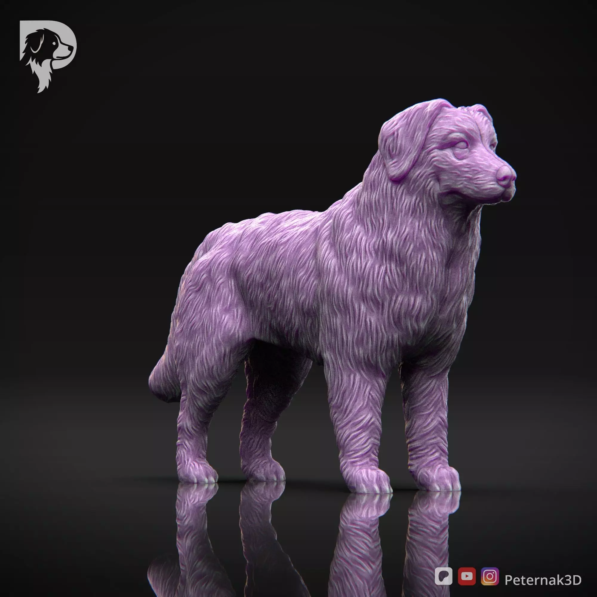 Dog 3D Print Model Bernese Mountain Dog Pose 01 Ready STL 3D print model_3