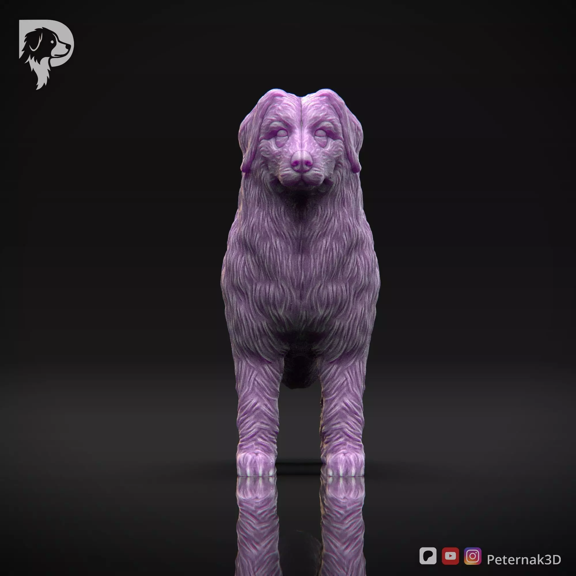 Dog 3D Print Model Bernese Mountain Dog Pose 01 Ready STL 3D print model_2
