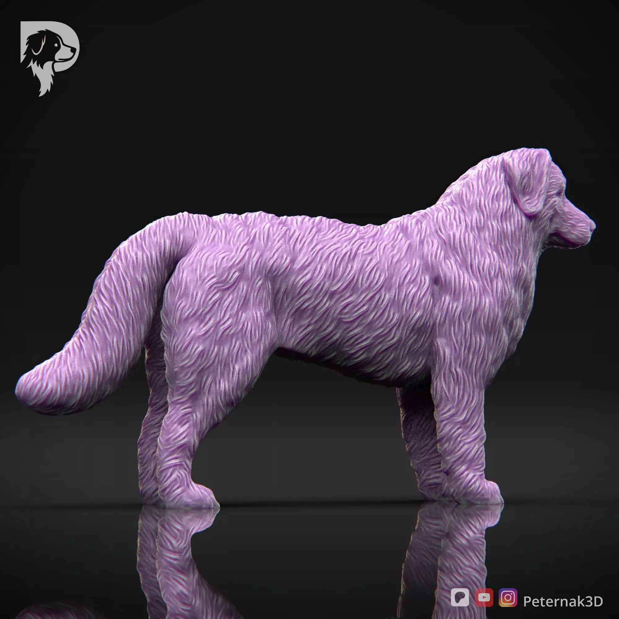 Dog 3D Print Model Bernese Mountain Dog Pose 01 Ready STL 3D print model_5