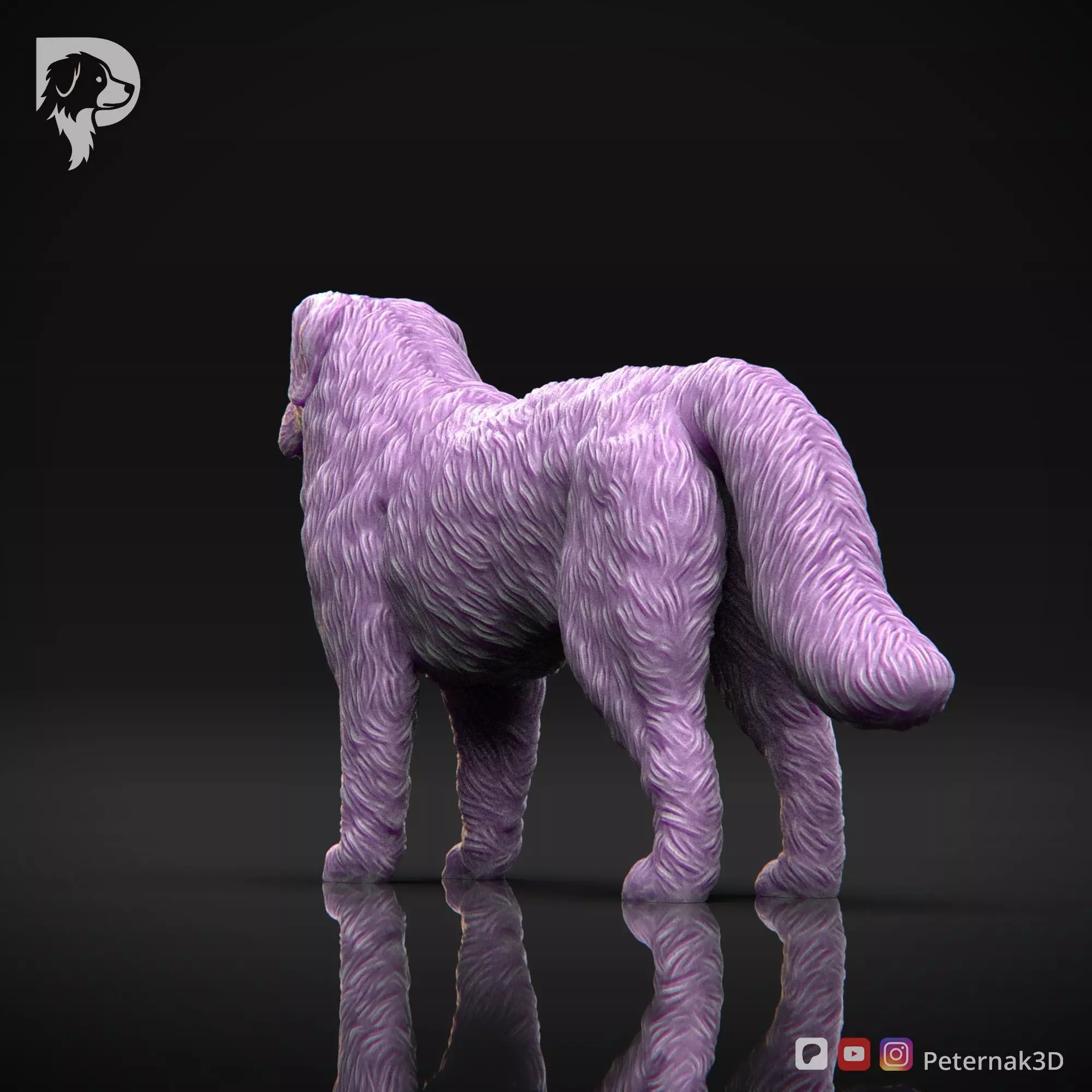 Dog 3D Print Model Bernese Mountain Dog Pose 01 Ready STL 3D print model_8