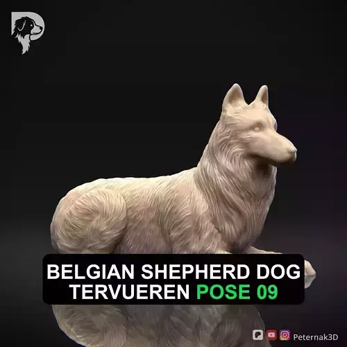 Dog 3D Print Model Belgian Shepherd Dog Tervueren Pose 09 STL