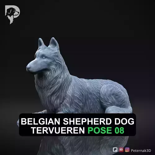 Dog 3D Print Model Belgian Shepherd Dog Tervueren Pose 08 STL