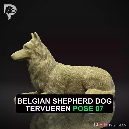 Dog 3D Print Model Belgian Shepherd Dog Tervueren Pose 07 STL