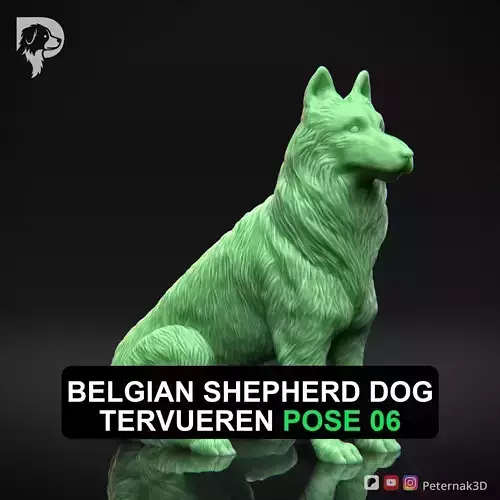 Dog 3D Print Model Belgian Shepherd Dog Tervueren Pose 06 STL