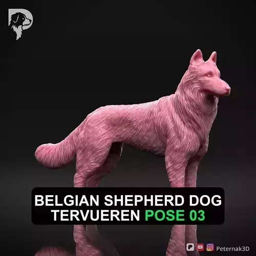 Dog 3D Print Model Belgian Shepherd Dog Tervueren Pose 03 STL