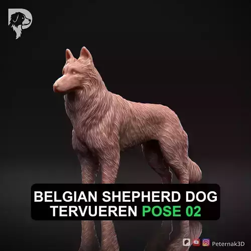 Dog 3D Print Model Belgian Shepherd Dog Tervueren Pose 02 STL