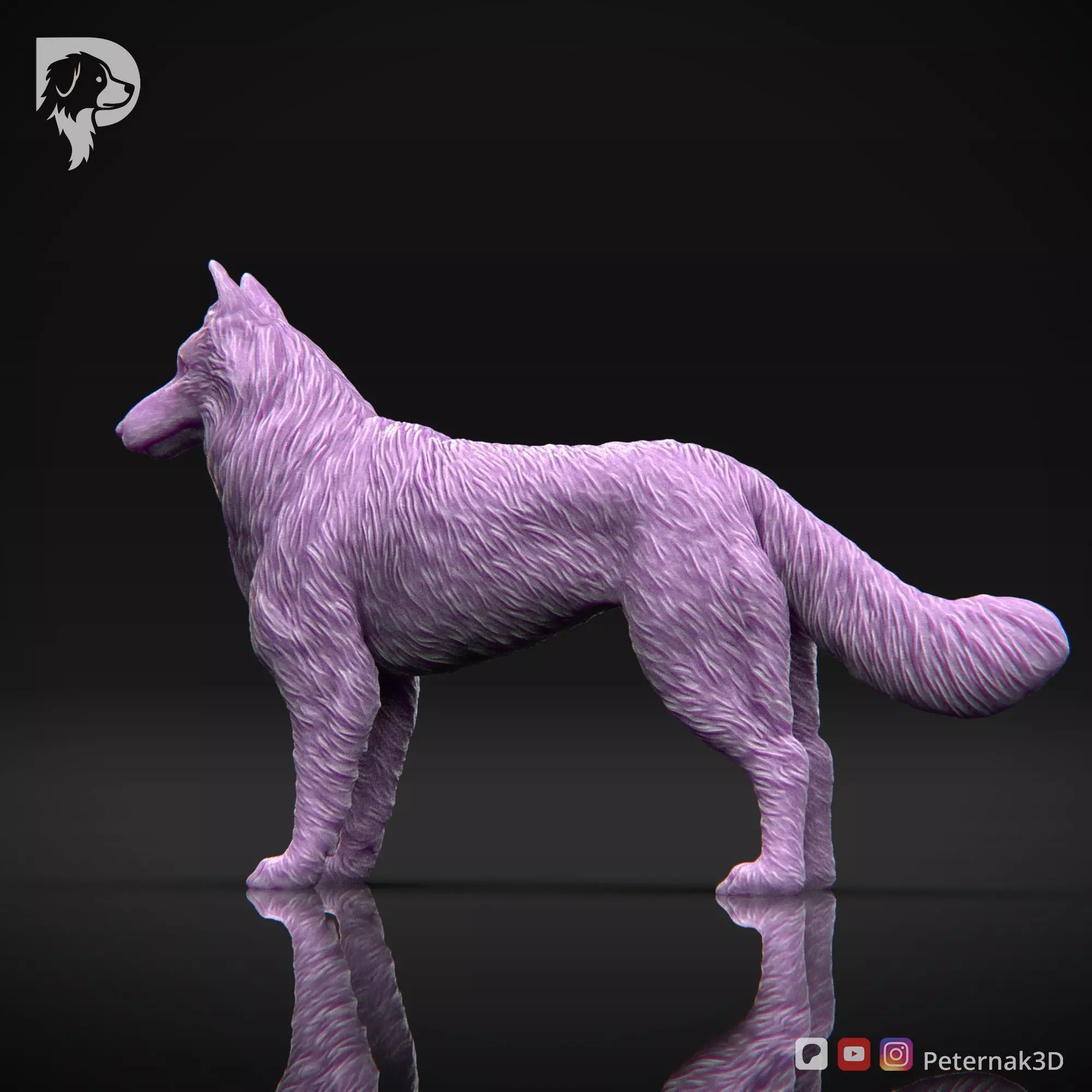 Dog 3D Print Model Belgian Shepherd Dog Tervueren Pose 01 STL 3D print model_9