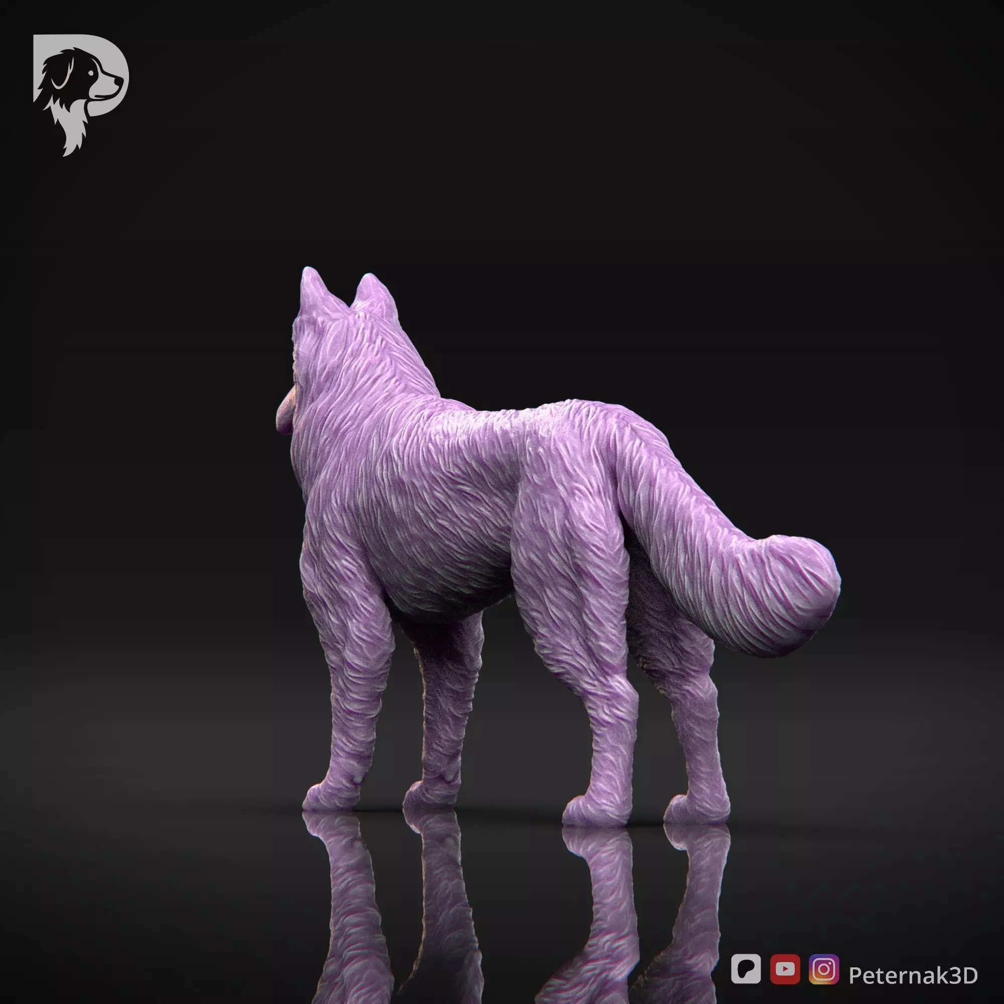 Dog 3D Print Model Belgian Shepherd Dog Tervueren Pose 01 STL 3D print model_8
