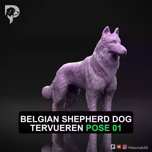 Dog 3D Print Model Belgian Shepherd Dog Tervueren Pose 01 STL