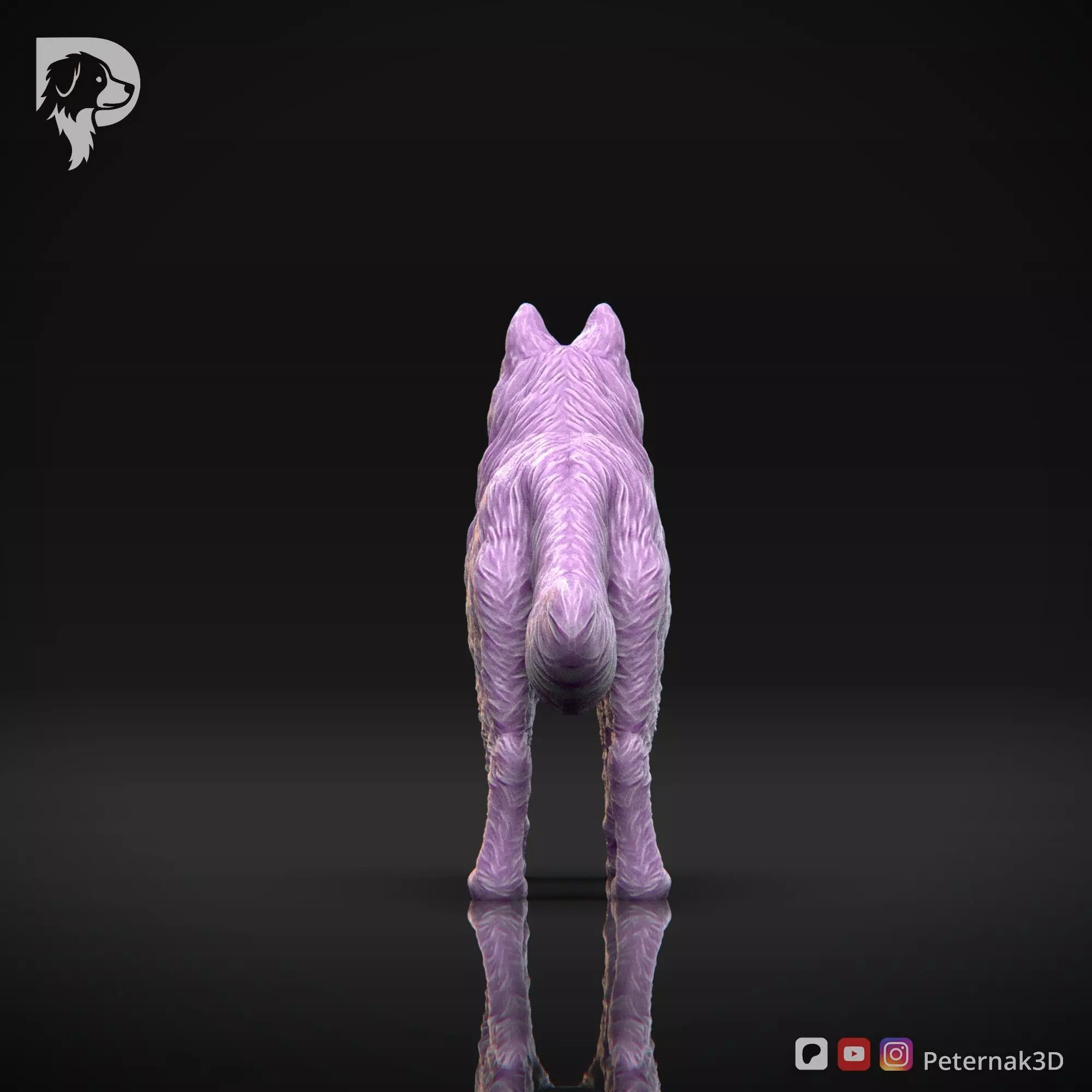 Dog 3D Print Model Belgian Shepherd Dog Tervueren Pose 01 STL 3D print model_7