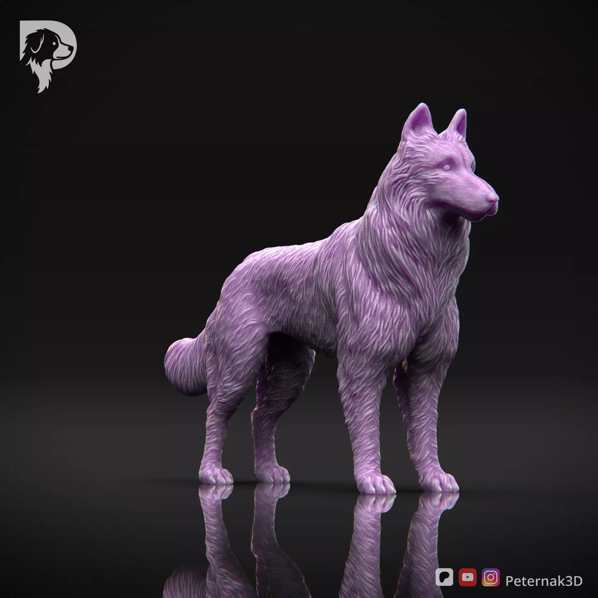 Dog 3D Print Model Belgian Shepherd Dog Tervueren Pose 01 STL 3D print model_3