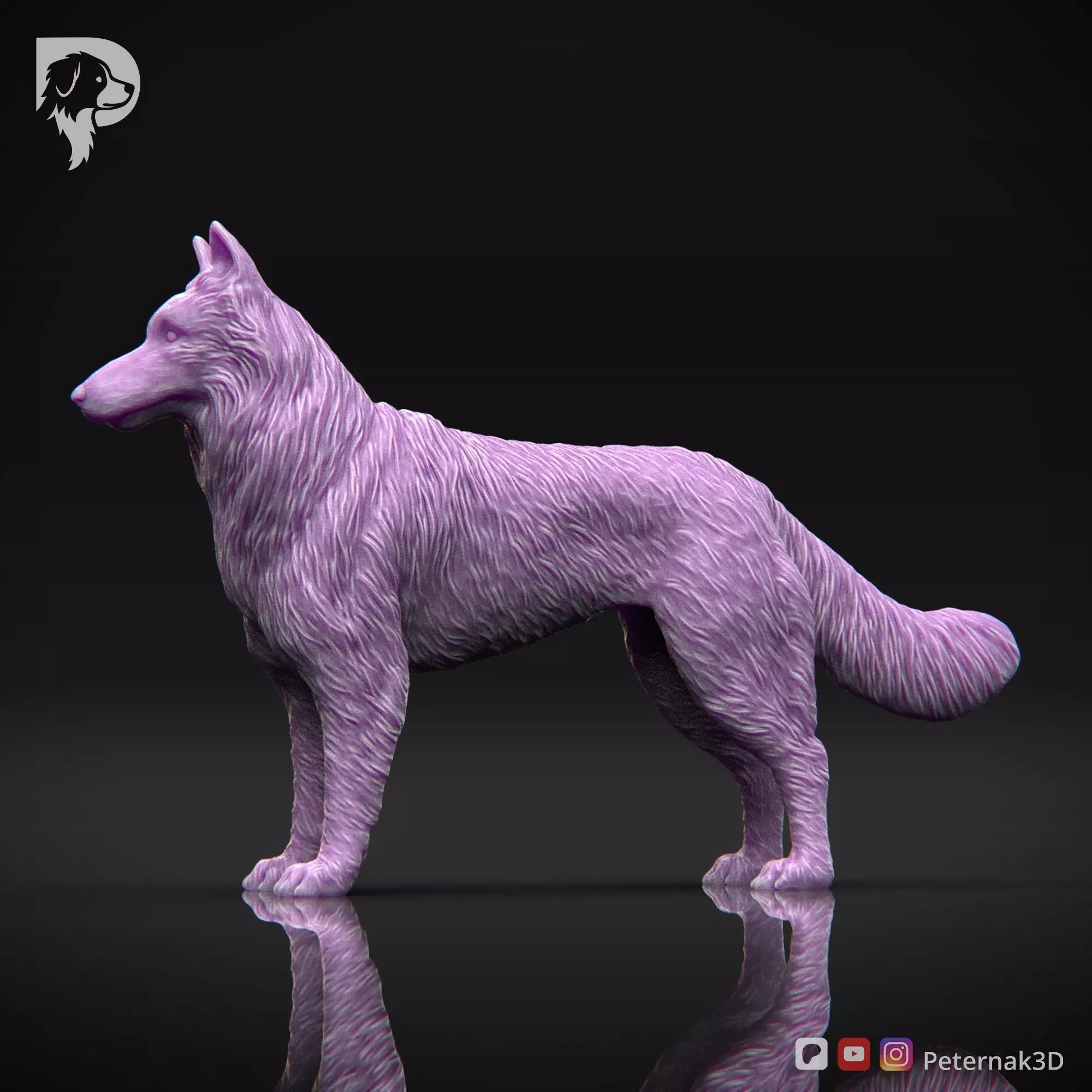 Dog 3D Print Model Belgian Shepherd Dog Tervueren Pose 01 STL 3D print model_10