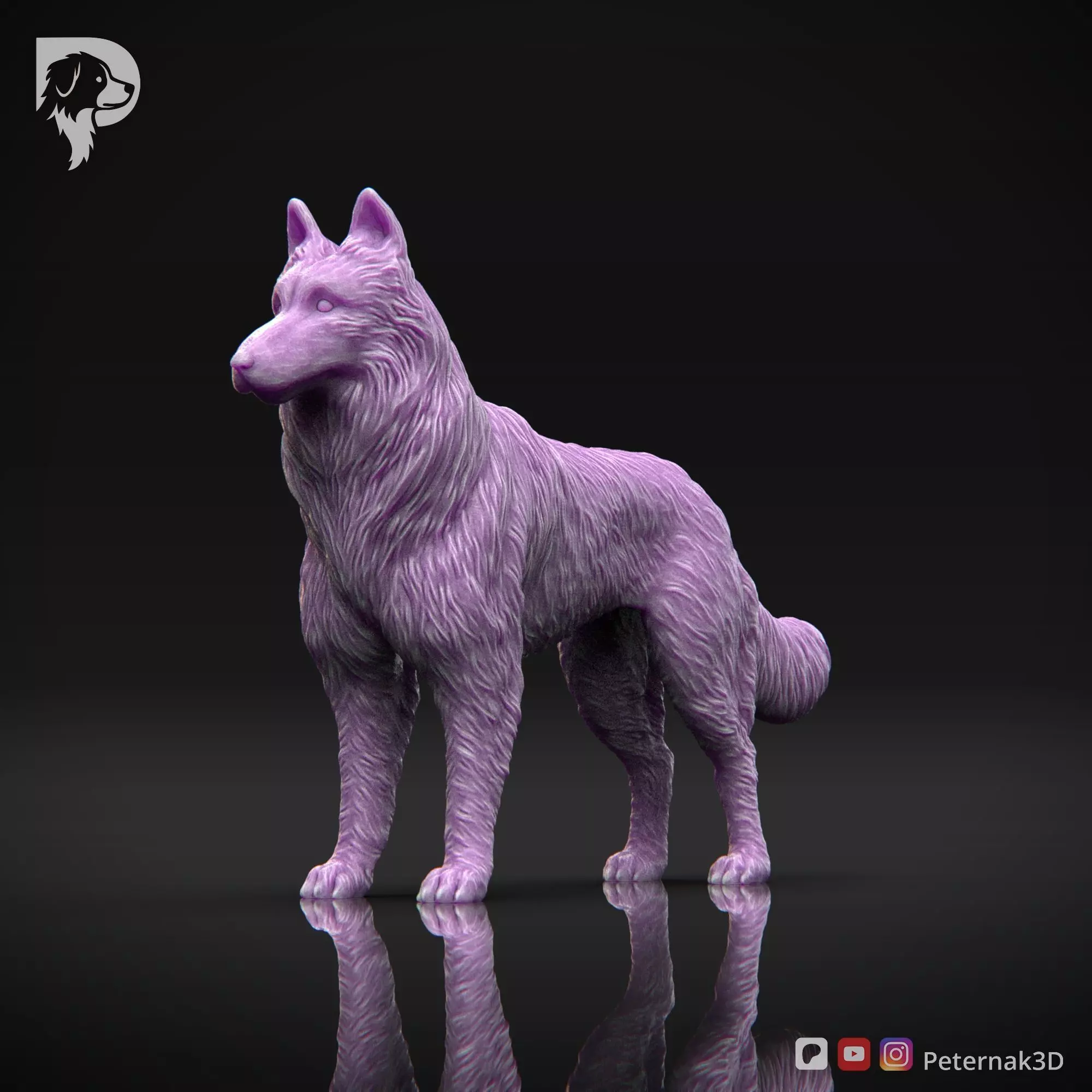 Dog 3D Print Model Belgian Shepherd Dog Tervueren Pose 01 STL 3D print model_11