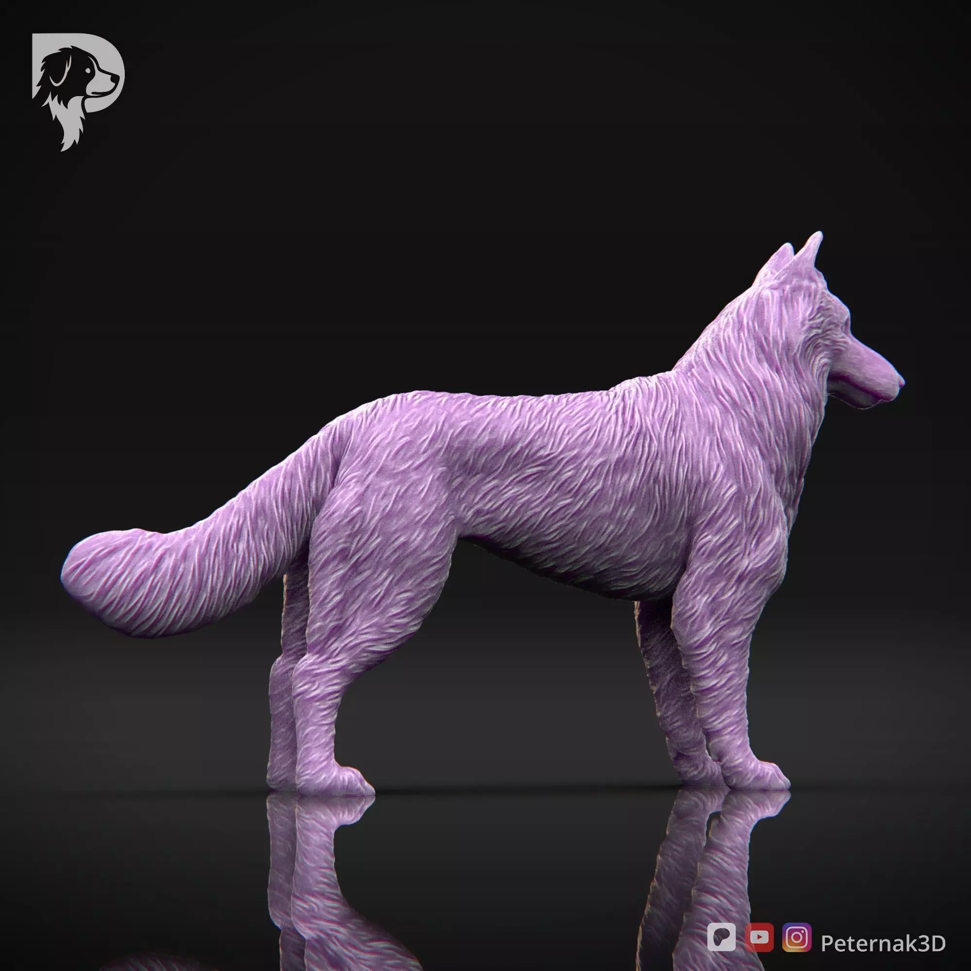 Dog 3D Print Model Belgian Shepherd Dog Tervueren Pose 01 STL 3D print model_5