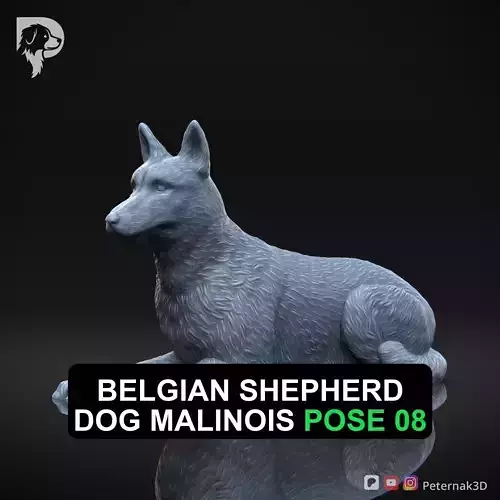 Dog 3D Print Model Belgian Shepherd Dog Malinois Pose 08 STL