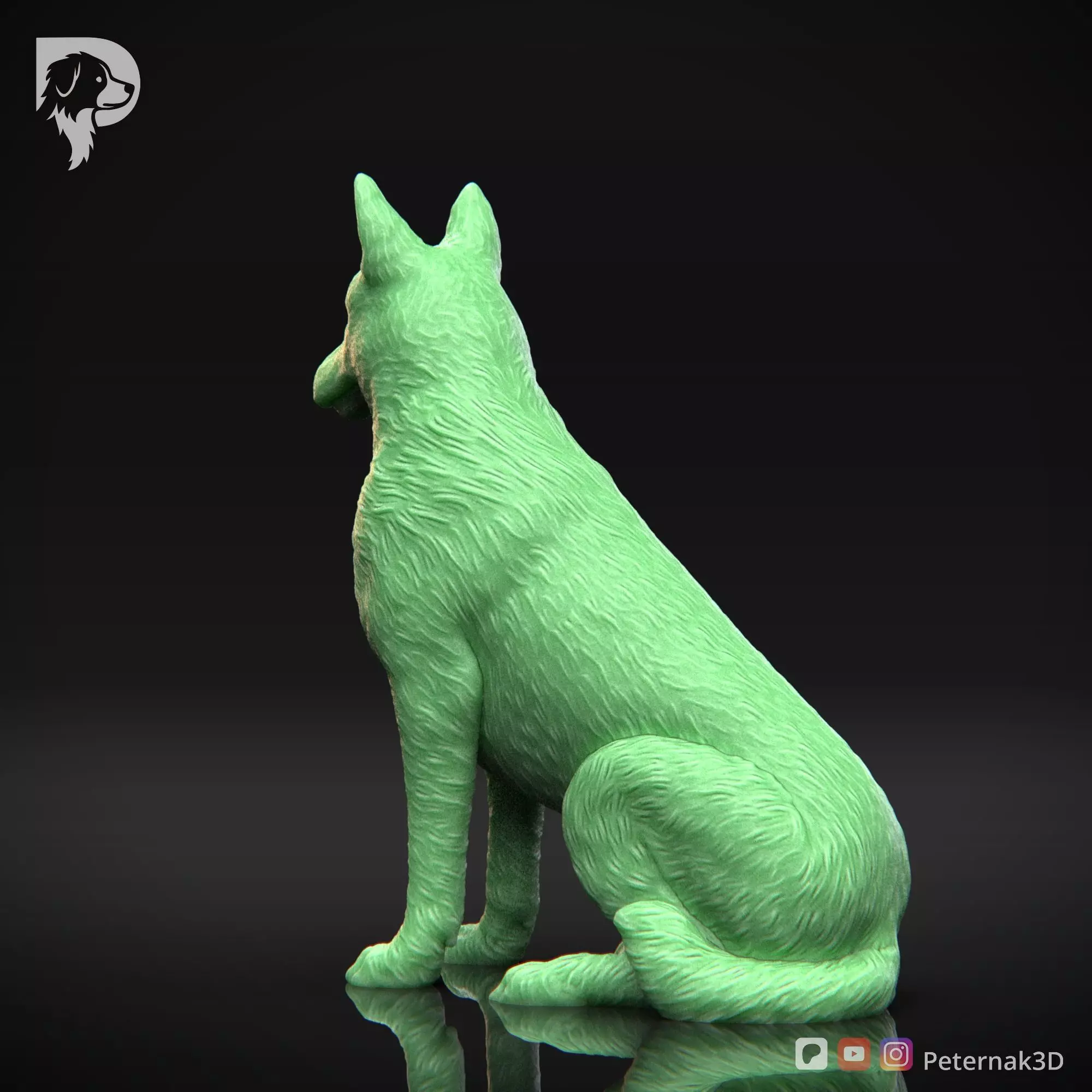 Dog 3D Print Model Belgian Shepherd Dog Malinois Pose 06 STL 3D print model_8