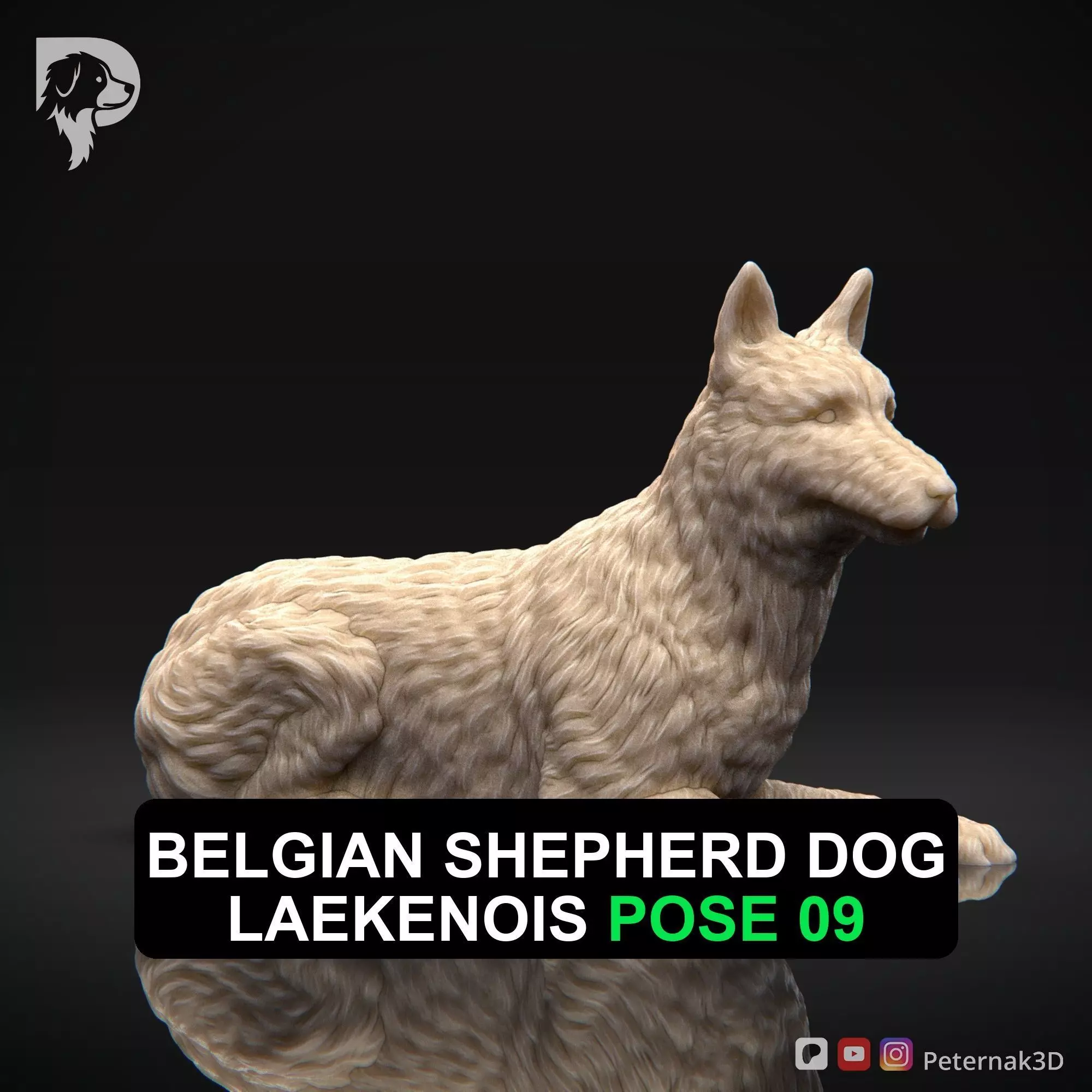Dog 3D Print Model Belgian Shepherd Dog Laekenois Pose 09 STL 3D print model_0