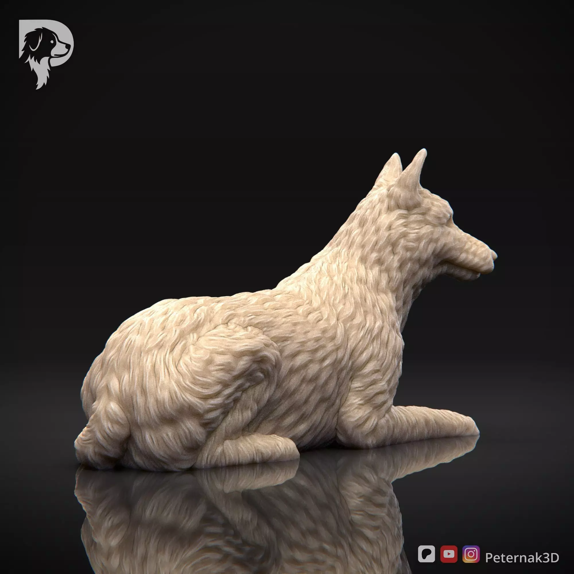 Dog 3D Print Model Belgian Shepherd Dog Laekenois Pose 09 STL 3D print model_5