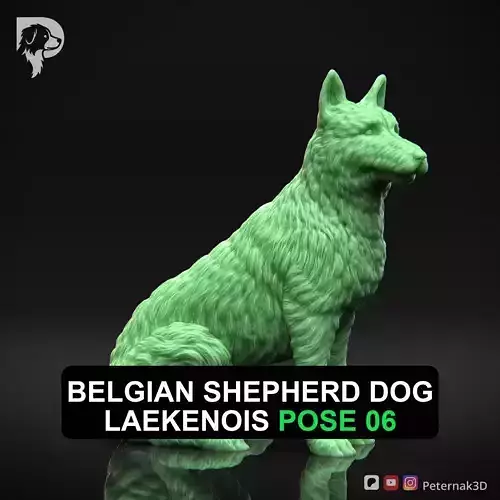 Dog 3D Print Model Belgian Shepherd Dog Laekenois Pose 06 STL