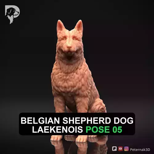 Dog 3D Print Model Belgian Shepherd Dog Laekenois Pose 05 STL
