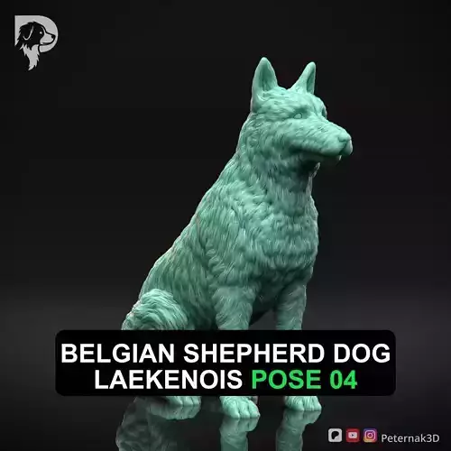 Dog 3D Print Model Belgian Shepherd Dog Laekenois Pose 04 STL