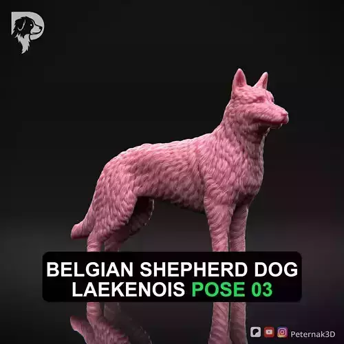 Dog 3D Print Model Belgian Shepherd Dog Laekenois Pose 03 STL