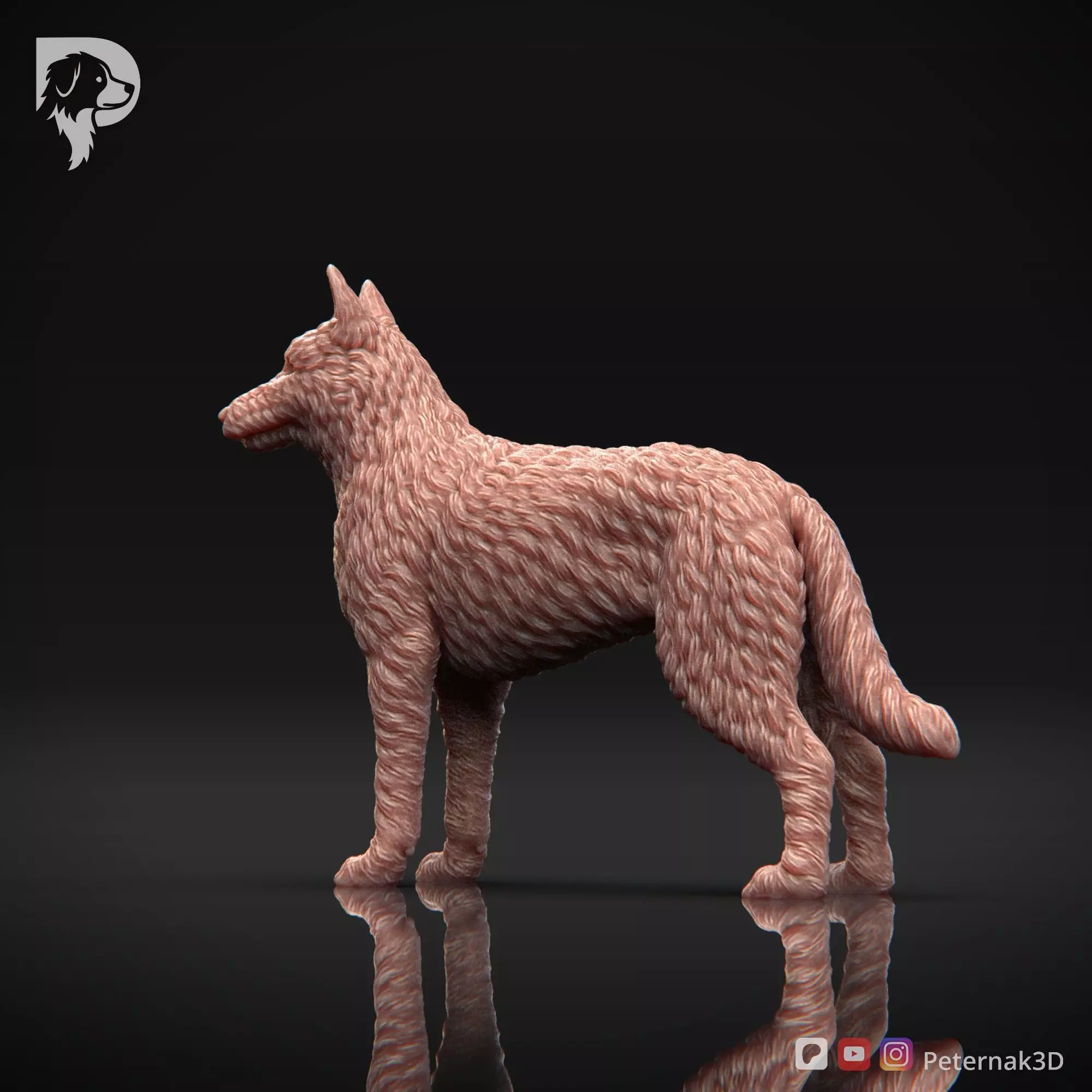 Dog 3D Print Model Belgian Shepherd Dog Laekenois Pose 02 STL 3D print model_9