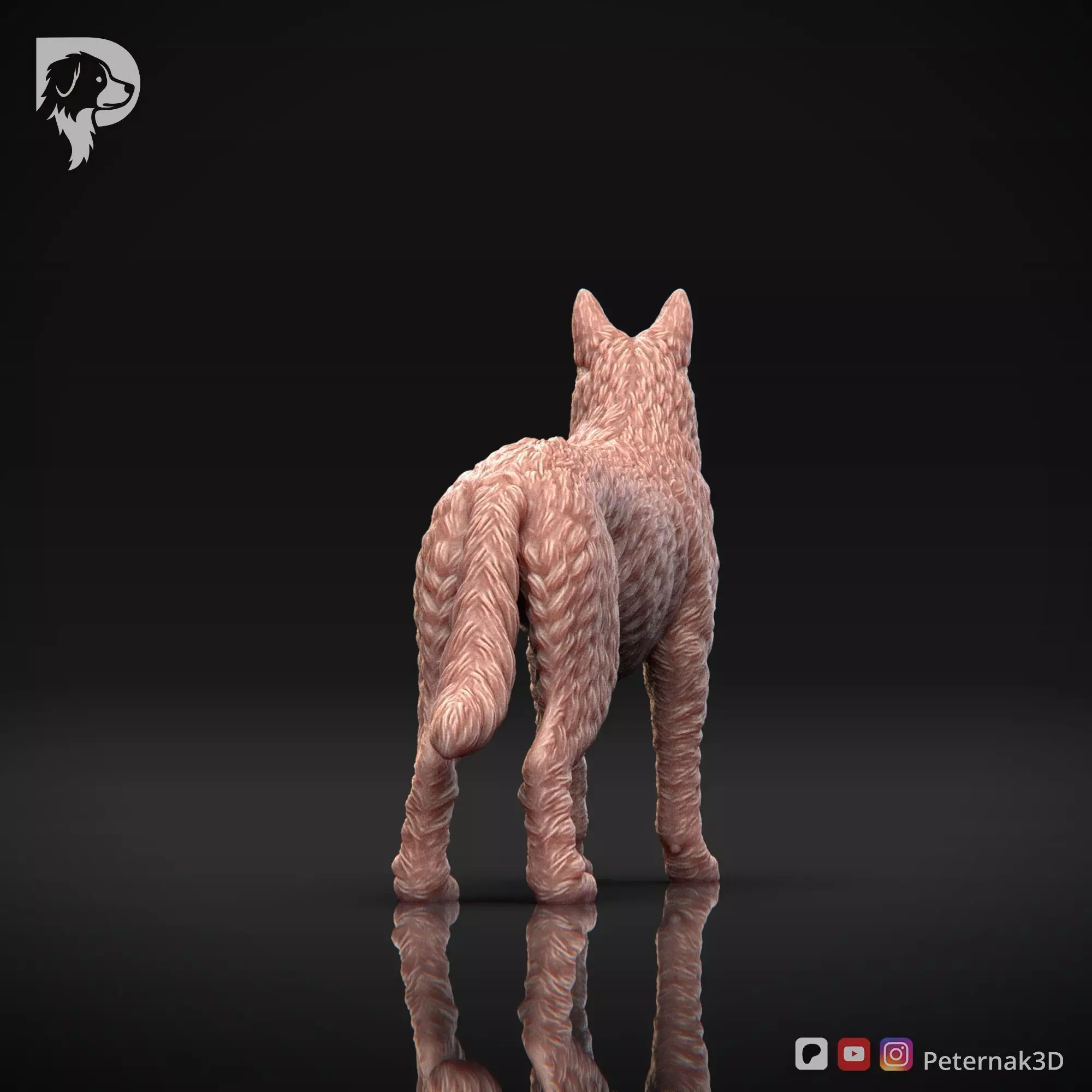 Dog 3D Print Model Belgian Shepherd Dog Laekenois Pose 02 STL 3D print model_7