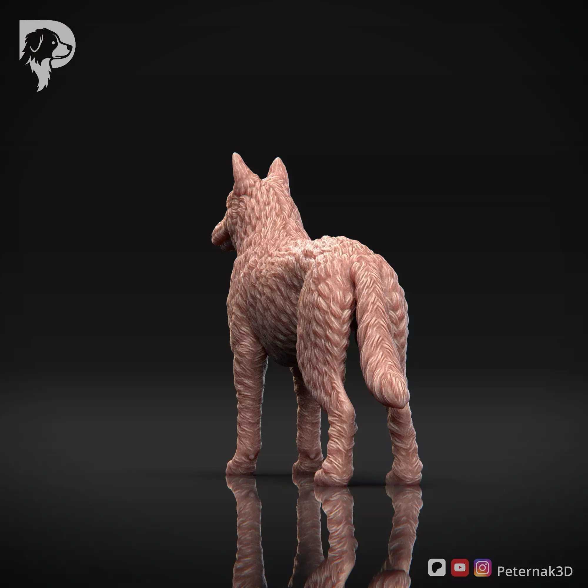 Dog 3D Print Model Belgian Shepherd Dog Laekenois Pose 02 STL 3D print model_8