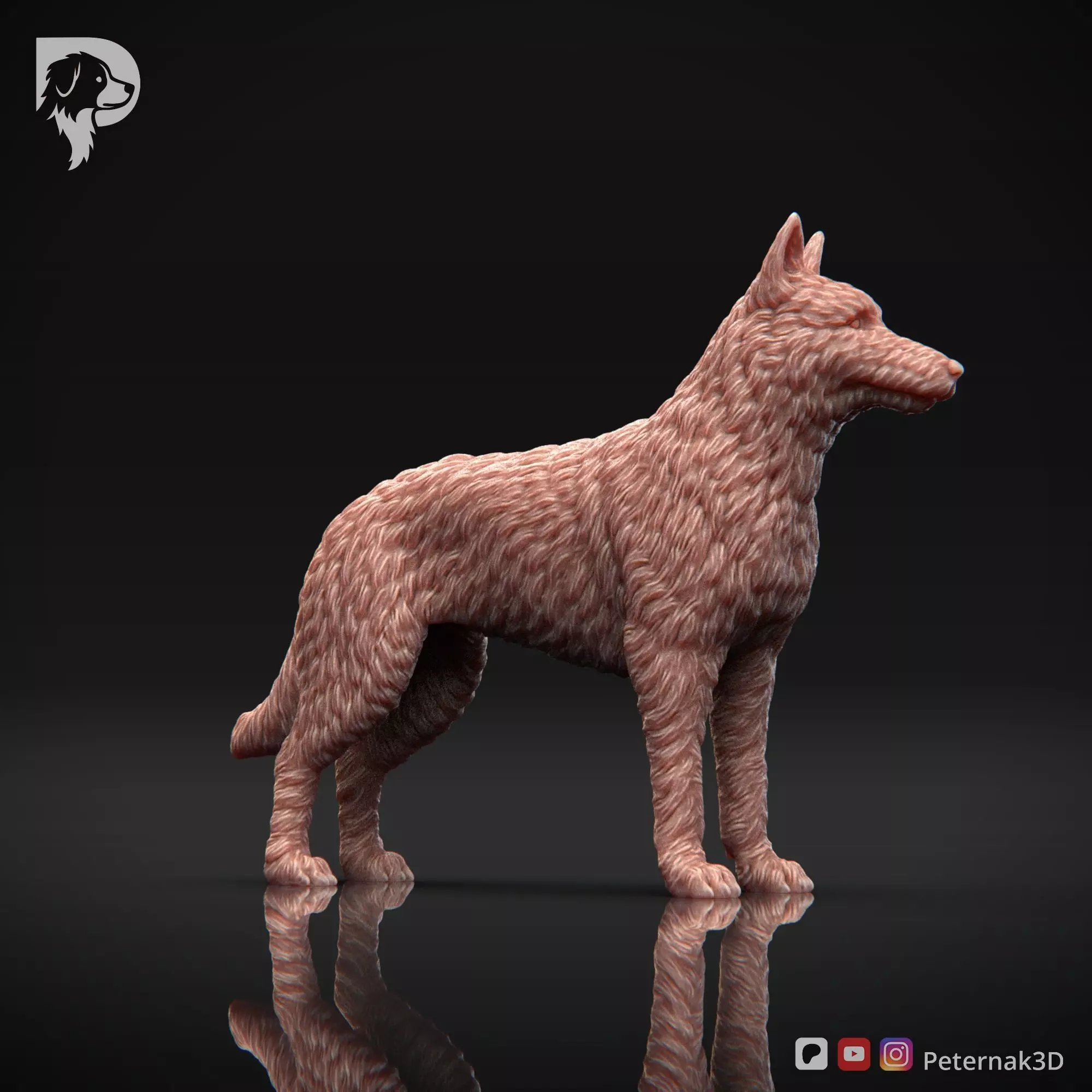 Dog 3D Print Model Belgian Shepherd Dog Laekenois Pose 02 STL 3D print model_4