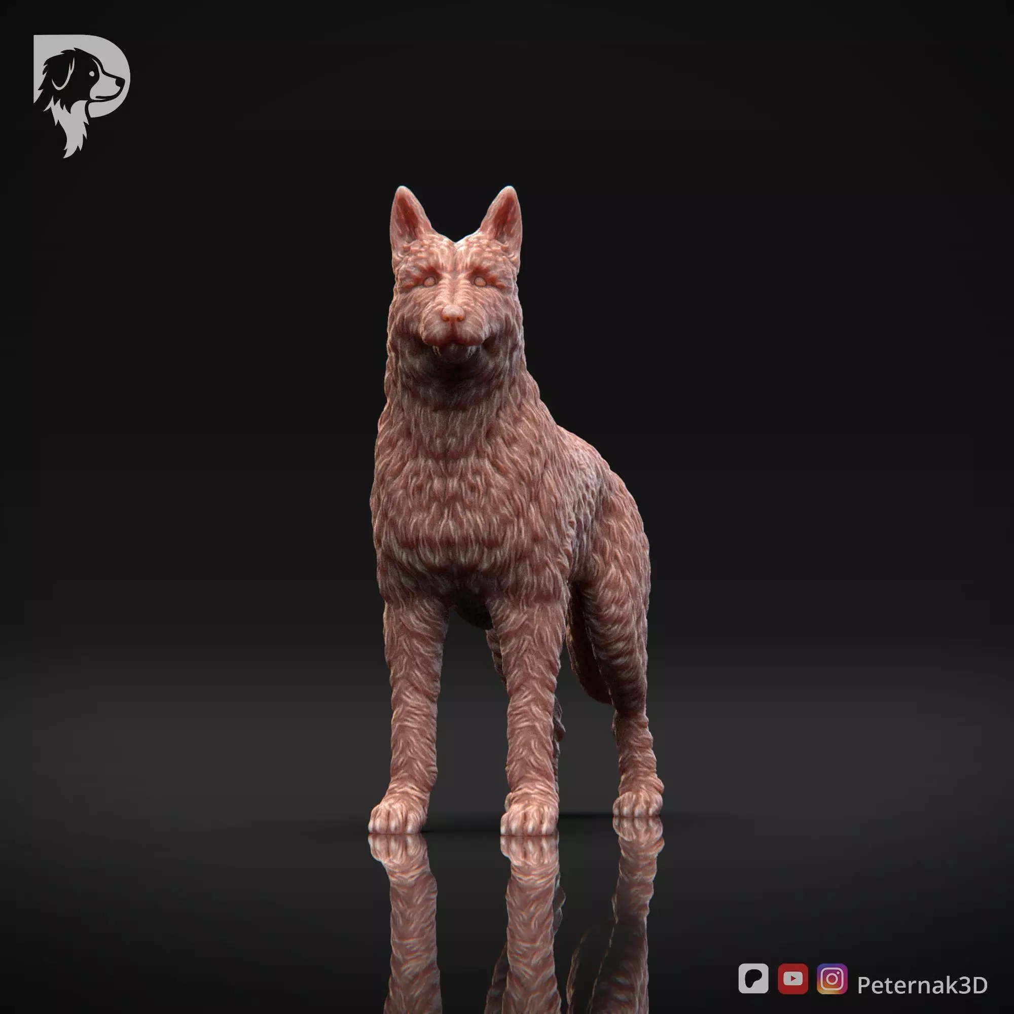 Dog 3D Print Model Belgian Shepherd Dog Laekenois Pose 02 STL 3D print model_2