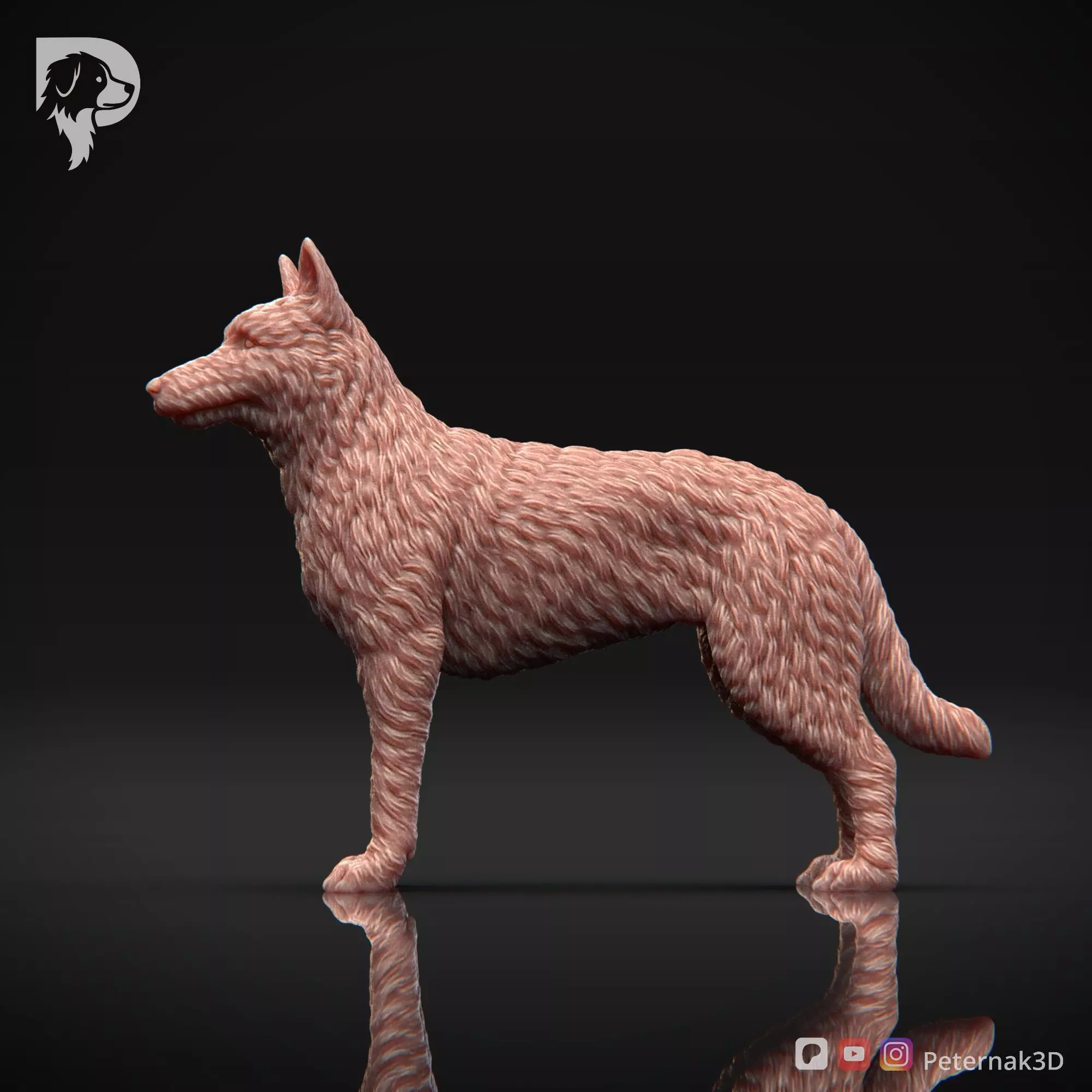 Dog 3D Print Model Belgian Shepherd Dog Laekenois Pose 02 STL 3D print model_10