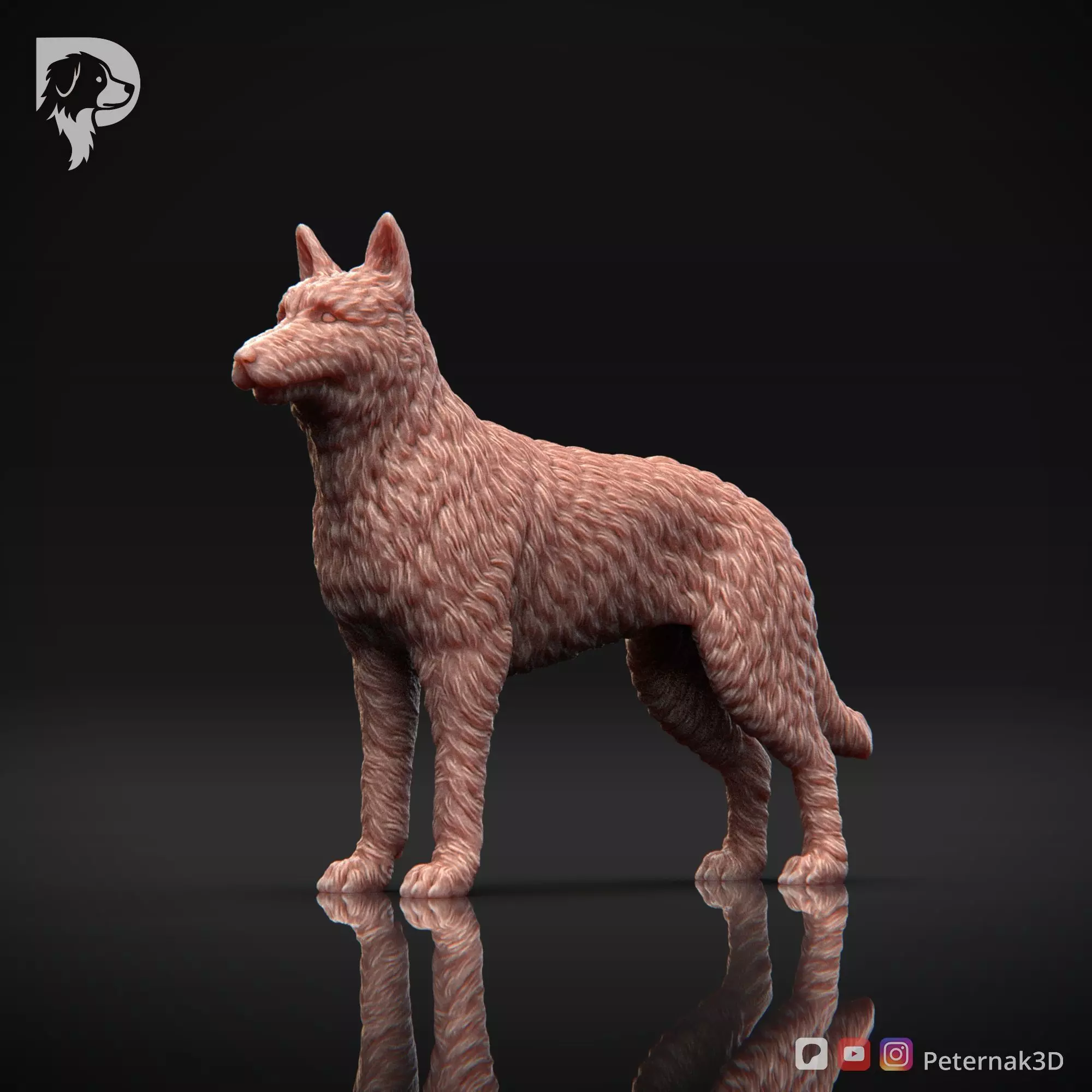 Dog 3D Print Model Belgian Shepherd Dog Laekenois Pose 02 STL 3D print model_11