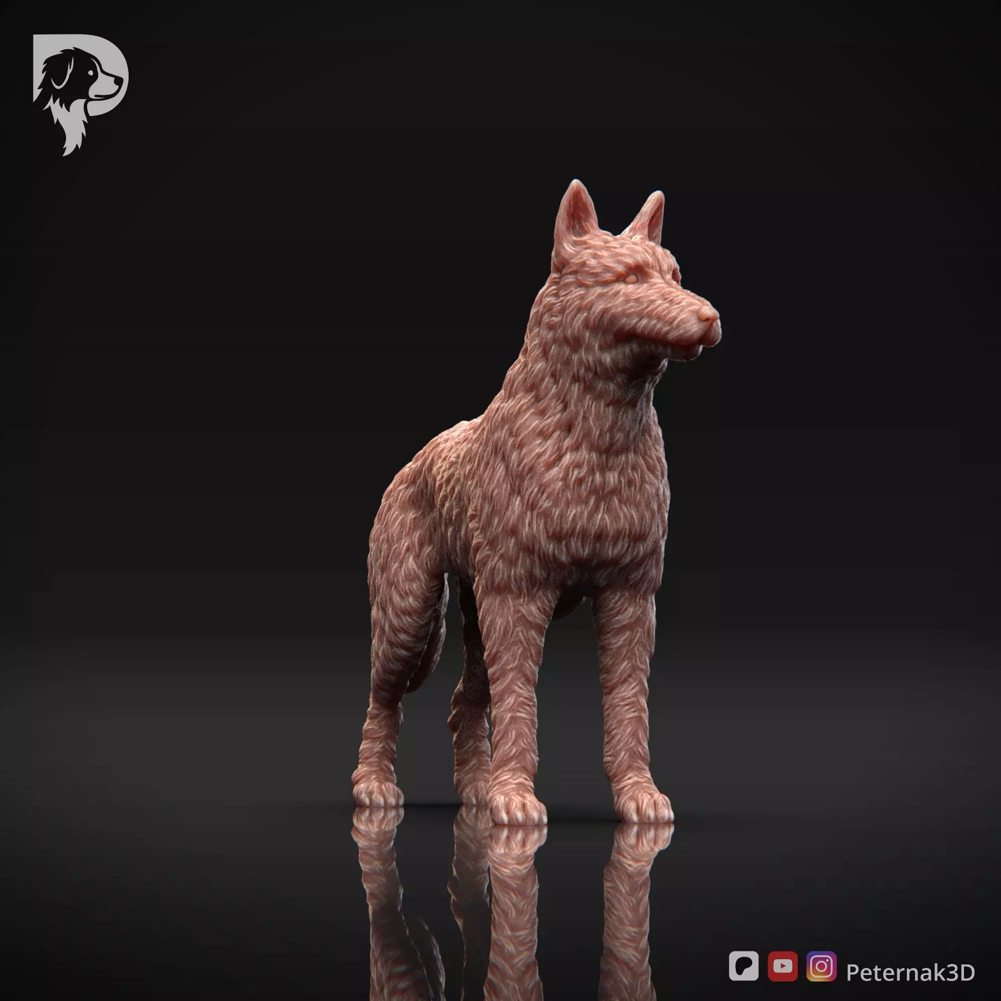 Dog 3D Print Model Belgian Shepherd Dog Laekenois Pose 02 STL 3D print model_3