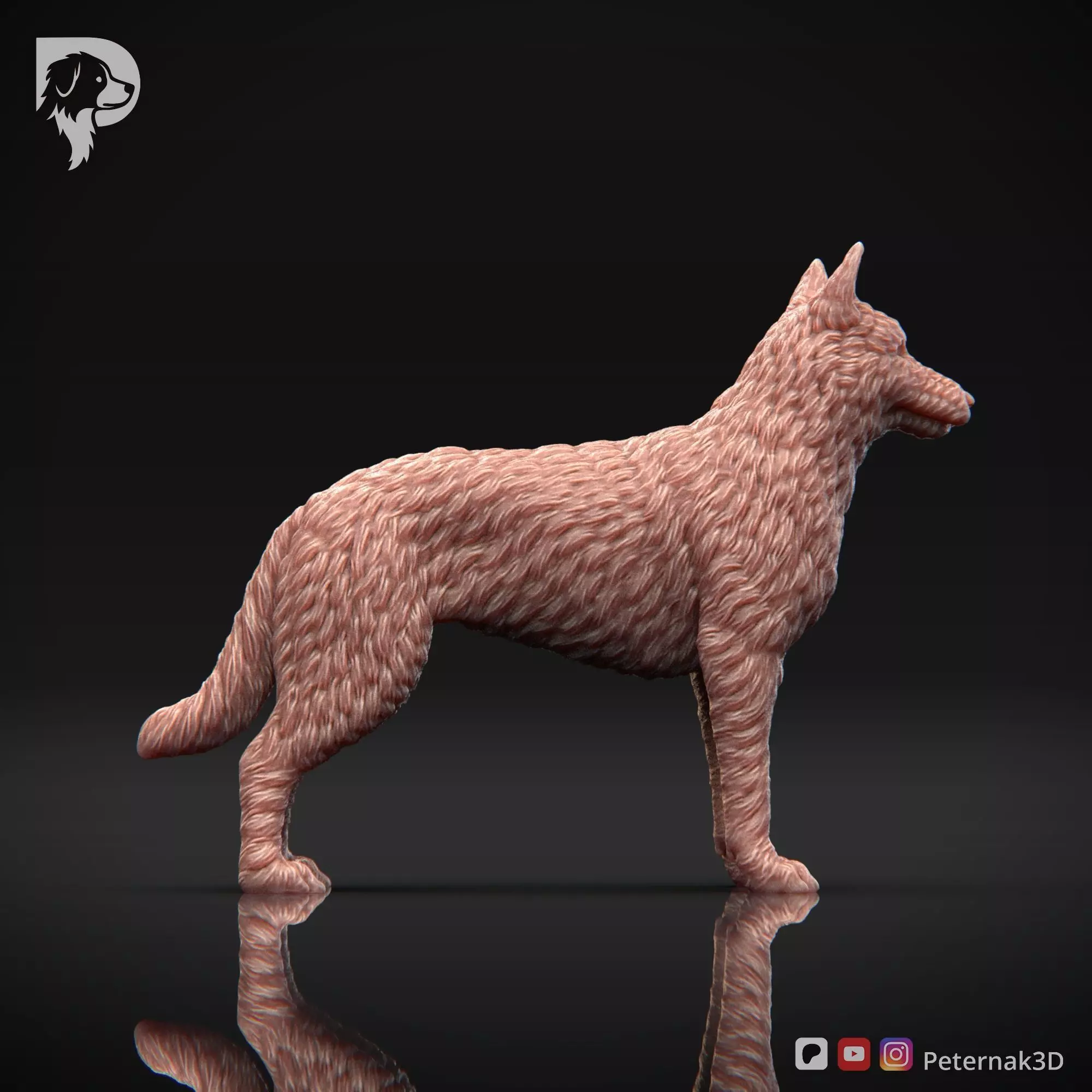 Dog 3D Print Model Belgian Shepherd Dog Laekenois Pose 02 STL 3D print model_5