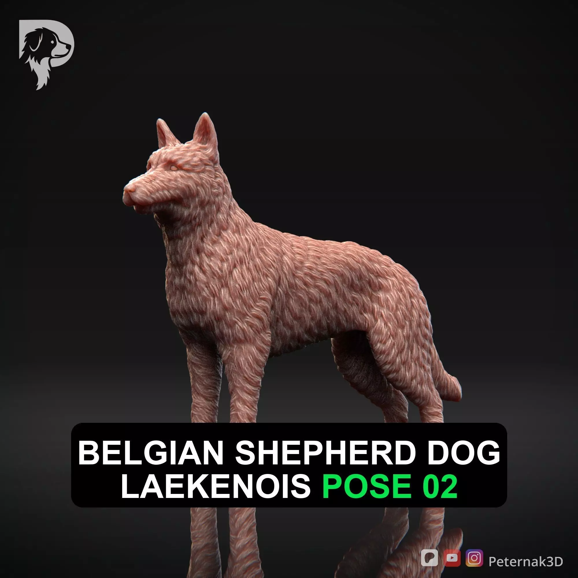 Dog 3D Print Model Belgian Shepherd Dog Laekenois Pose 02 STL 3D print model_0