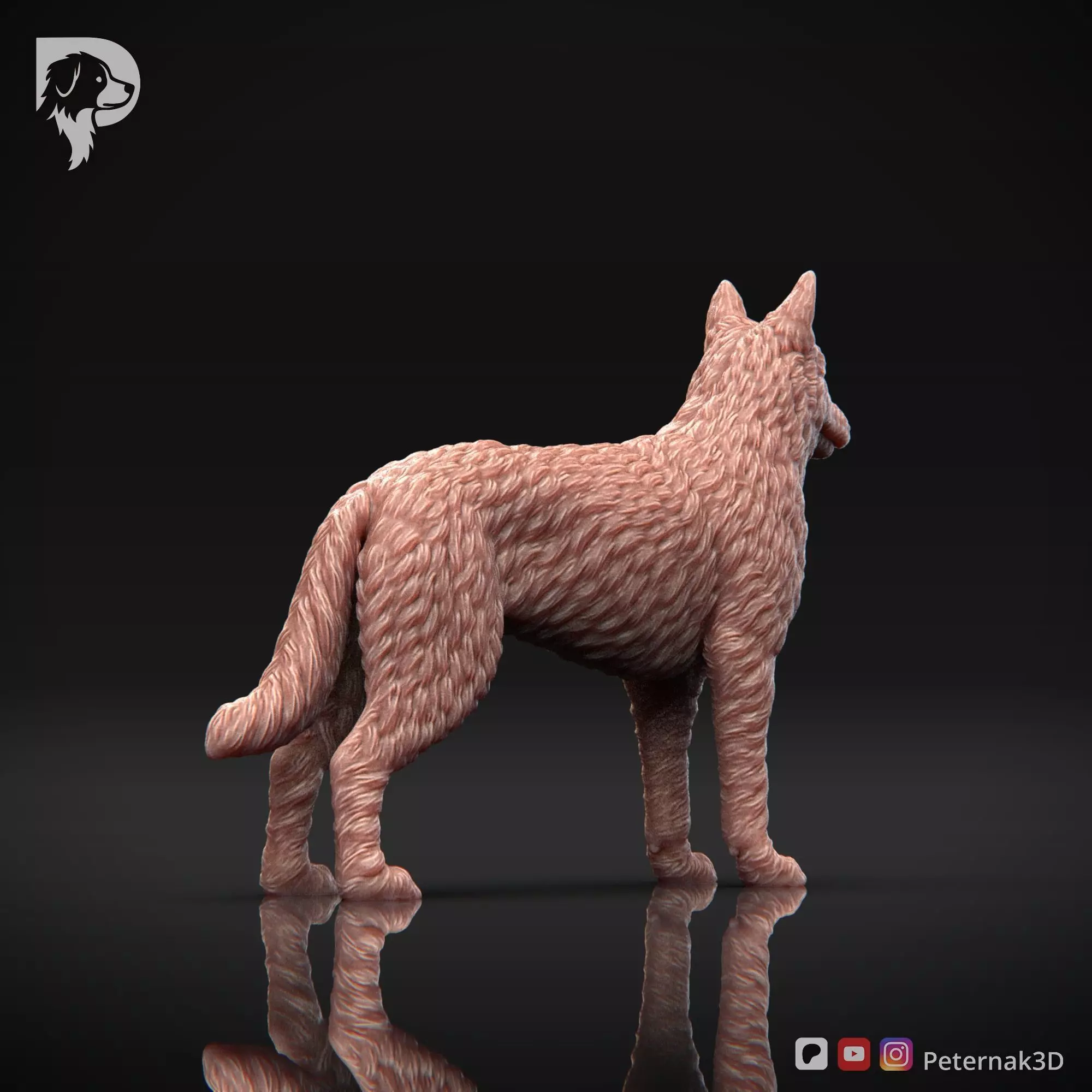 Dog 3D Print Model Belgian Shepherd Dog Laekenois Pose 02 STL 3D print model_6