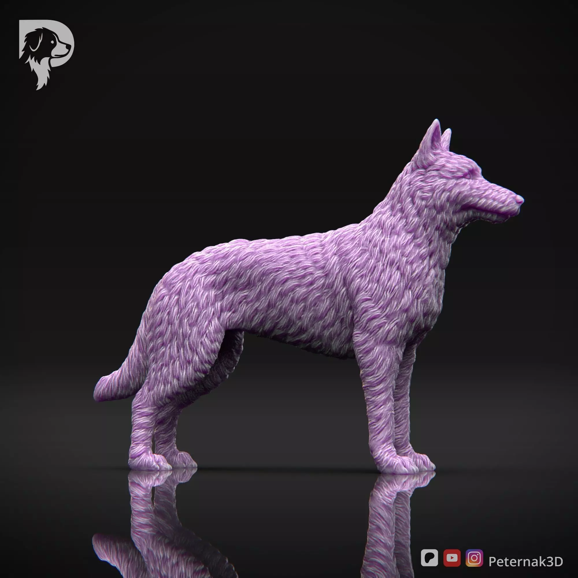 Dog 3D Print Model Belgian Shepherd Dog Laekenois Pose 01 STL 3D print model_4