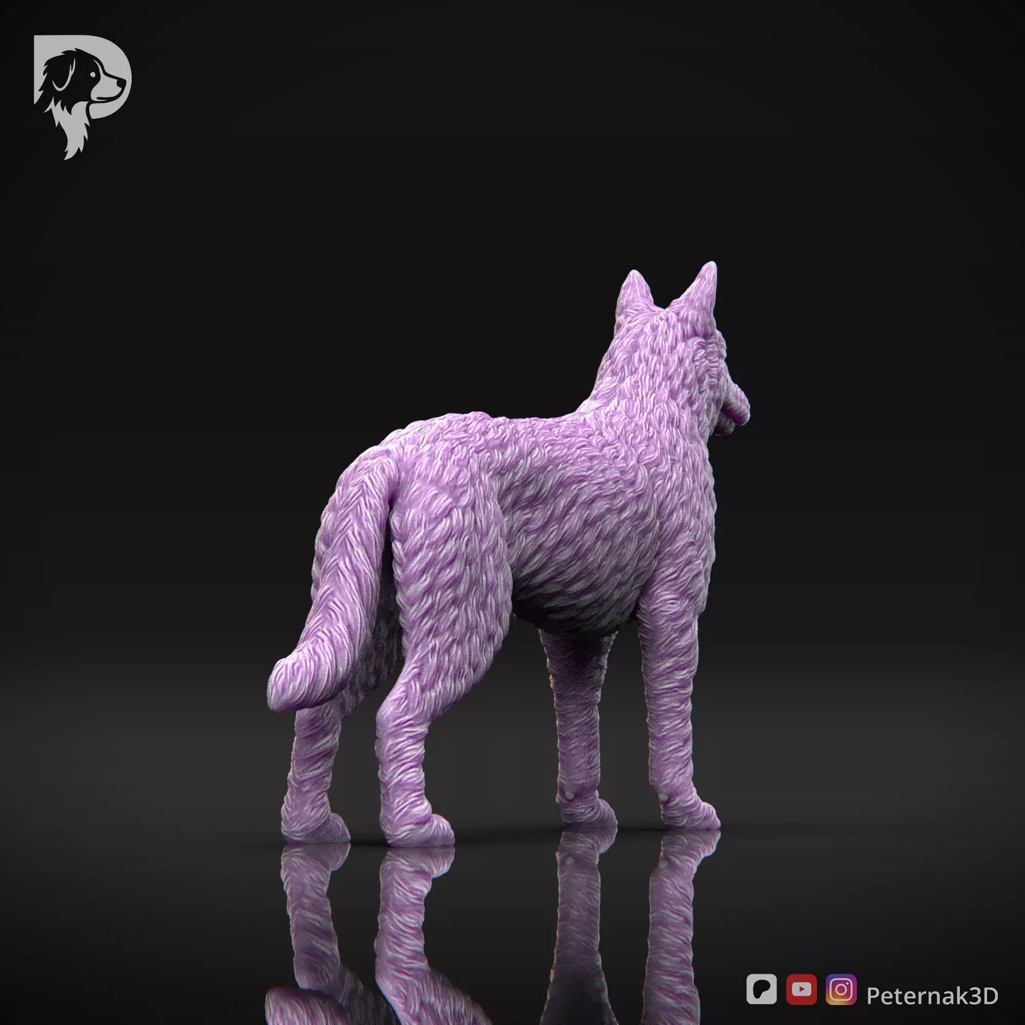 Dog 3D Print Model Belgian Shepherd Dog Laekenois Pose 01 STL 3D print model_6