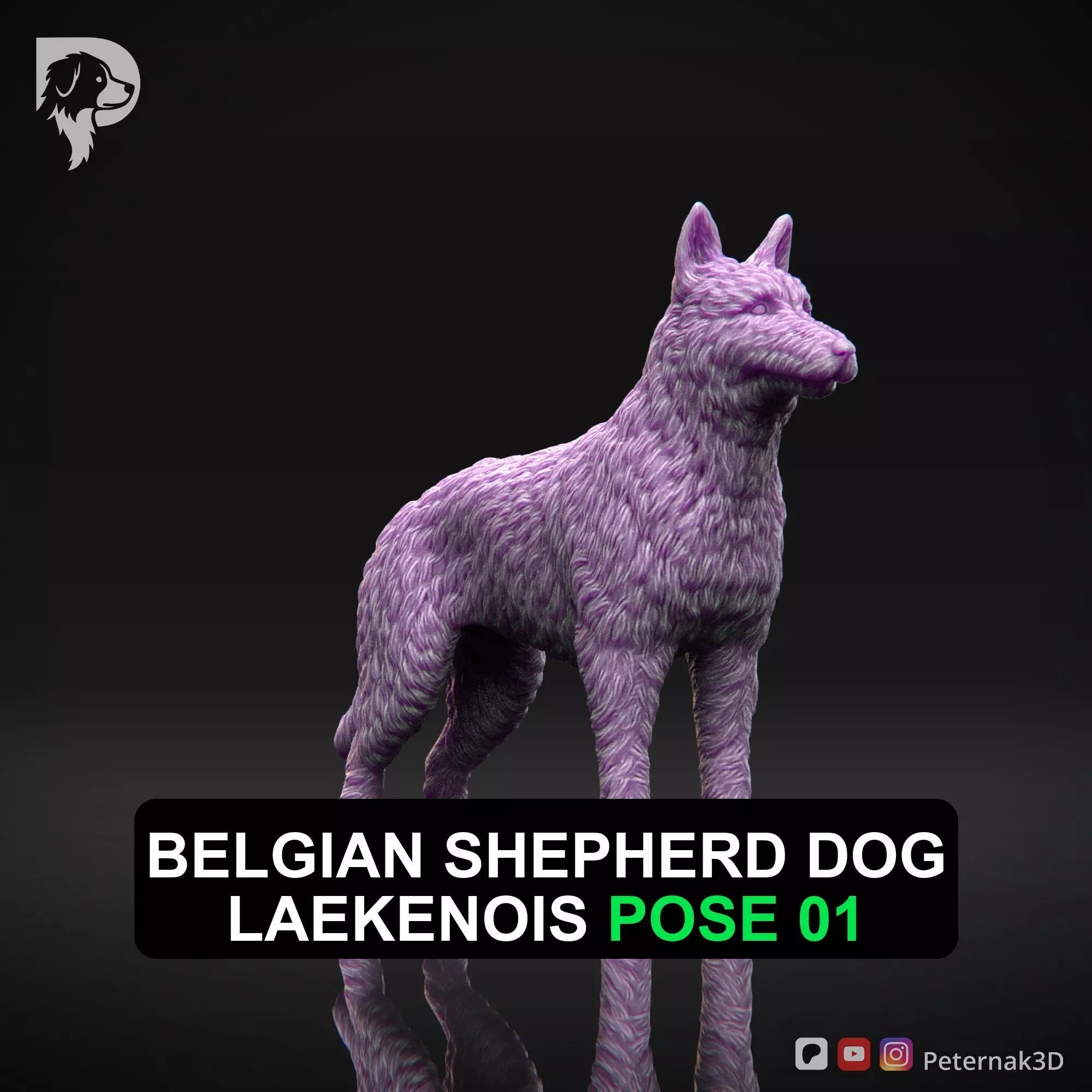 Dog 3D Print Model Belgian Shepherd Dog Laekenois Pose 01 STL 3D print model_0