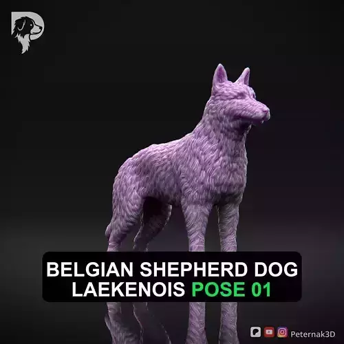 Dog 3D Print Model Belgian Shepherd Dog Laekenois Pose 01 STL