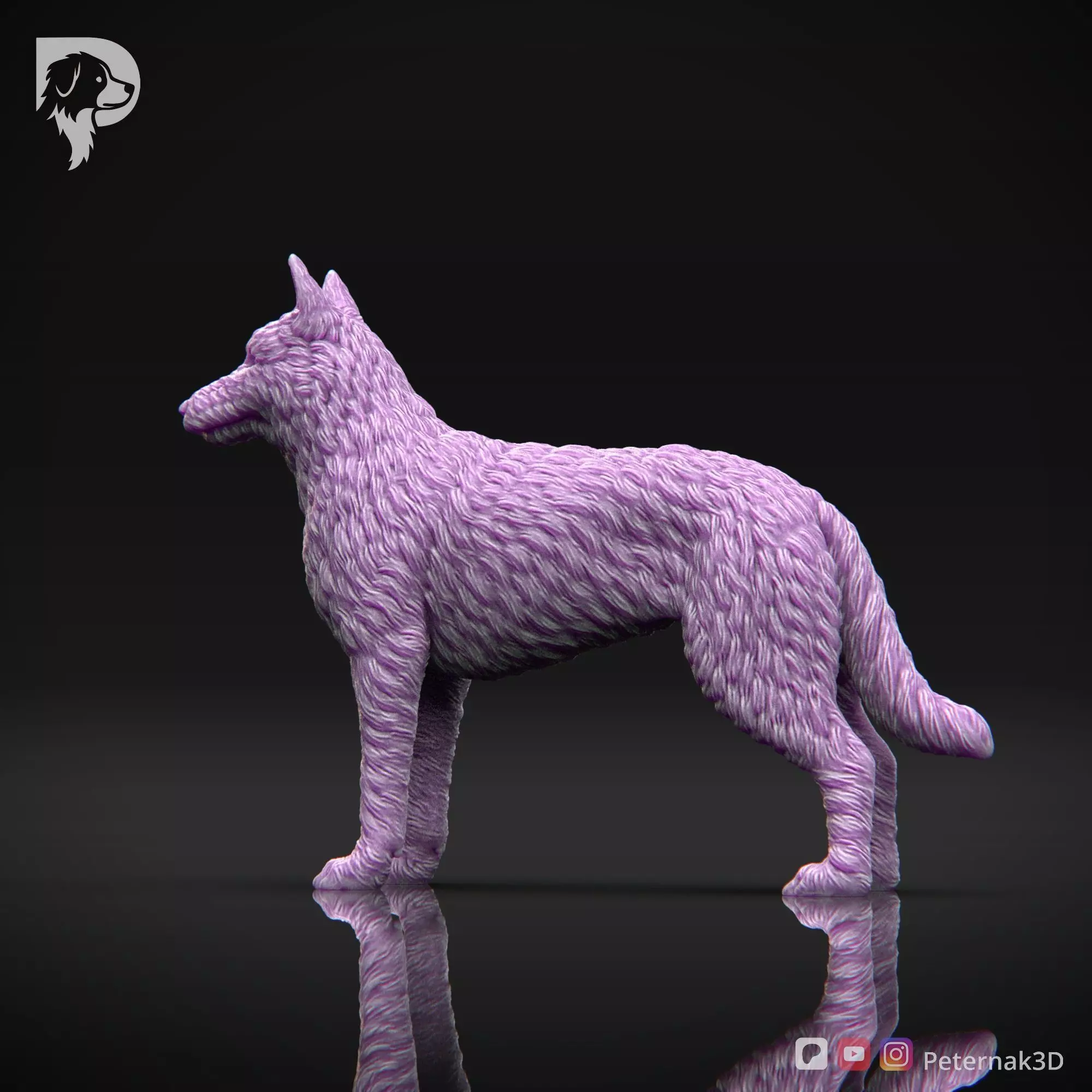 Dog 3D Print Model Belgian Shepherd Dog Laekenois Pose 01 STL 3D print model_9